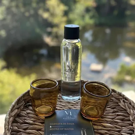 Ildefonso Luxury Villa Lamego